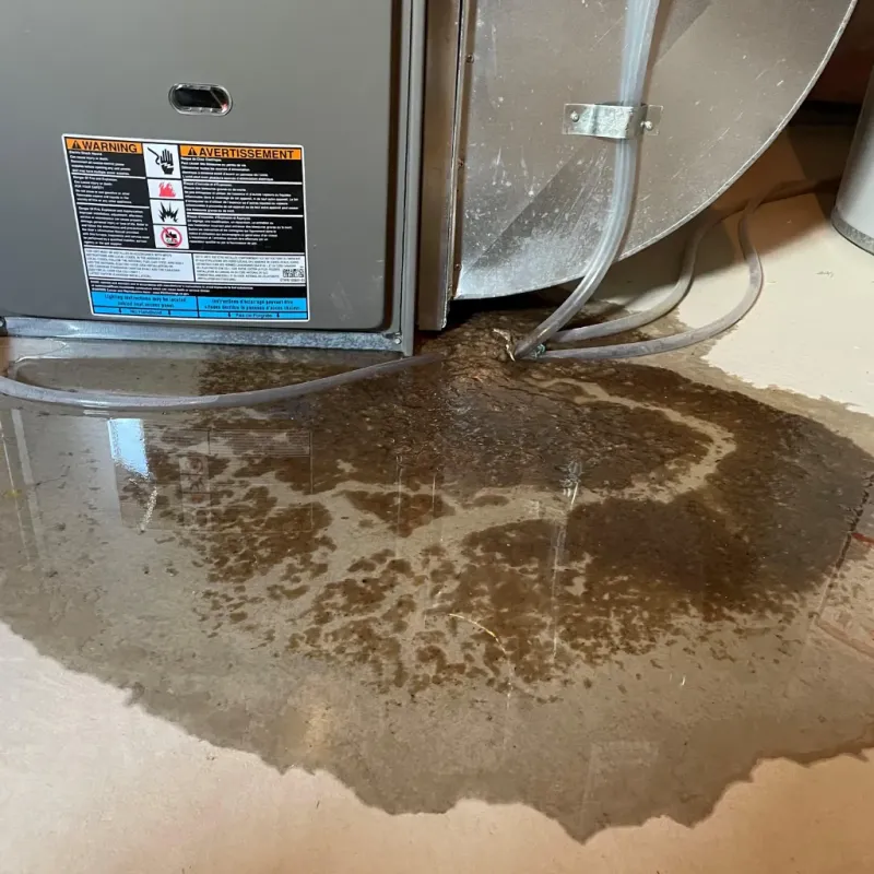 Appliance Leak Cleanup in Cheboygan County, MI