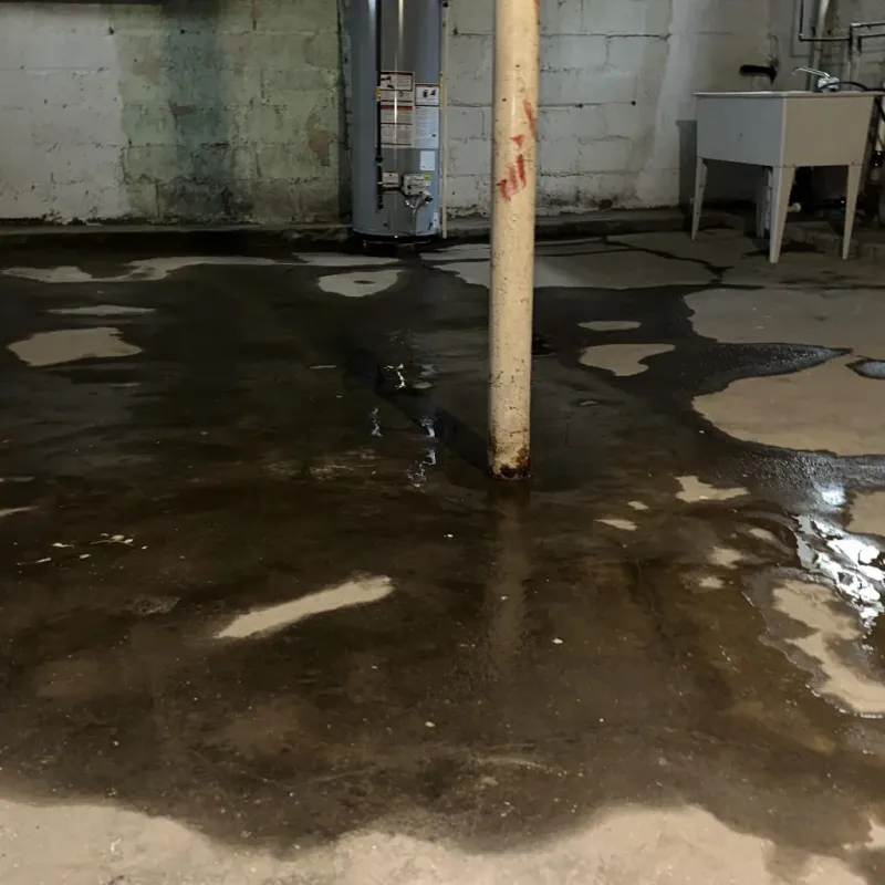Emergency Water Extraction And Removal in Cheboygan County, MI